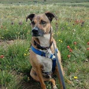 Meet your Posher, Robin